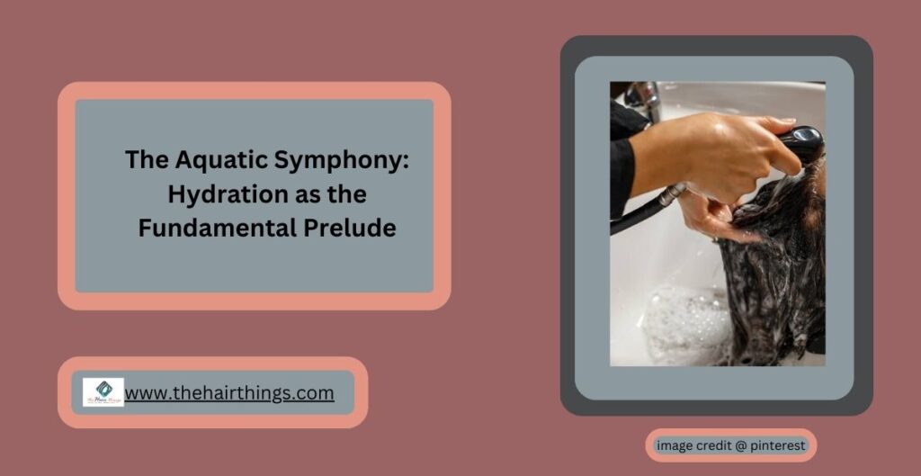 The Aquatic Symphony: Hydration as the Fundamental Prelude: