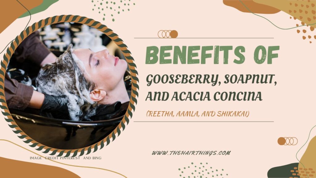 Benefits of Gooseberry, Soapnut, and Acacia Concina (Reetha, Aamla, and Shikakai)