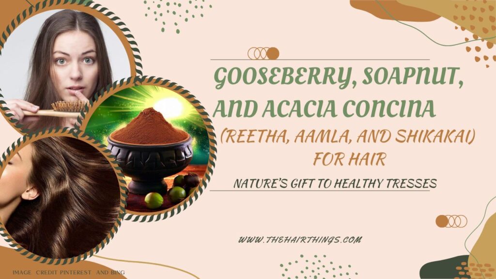 Gooseberry, Soapnut an, Acacia Concina(Reetha, Aamla, Shikakai) for Hair: Nature’s Gift to Healthy Tresses