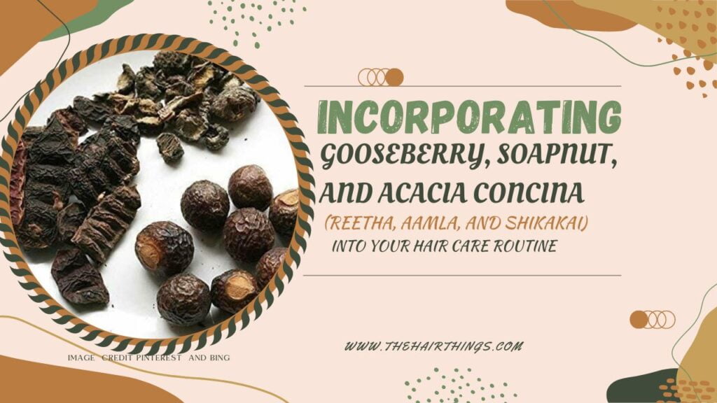 Incorporating Gooseberry, Soapnut, and Acacia Concina  (Reetha, Aamla, and Shikakai) into Your Hair Care Routine