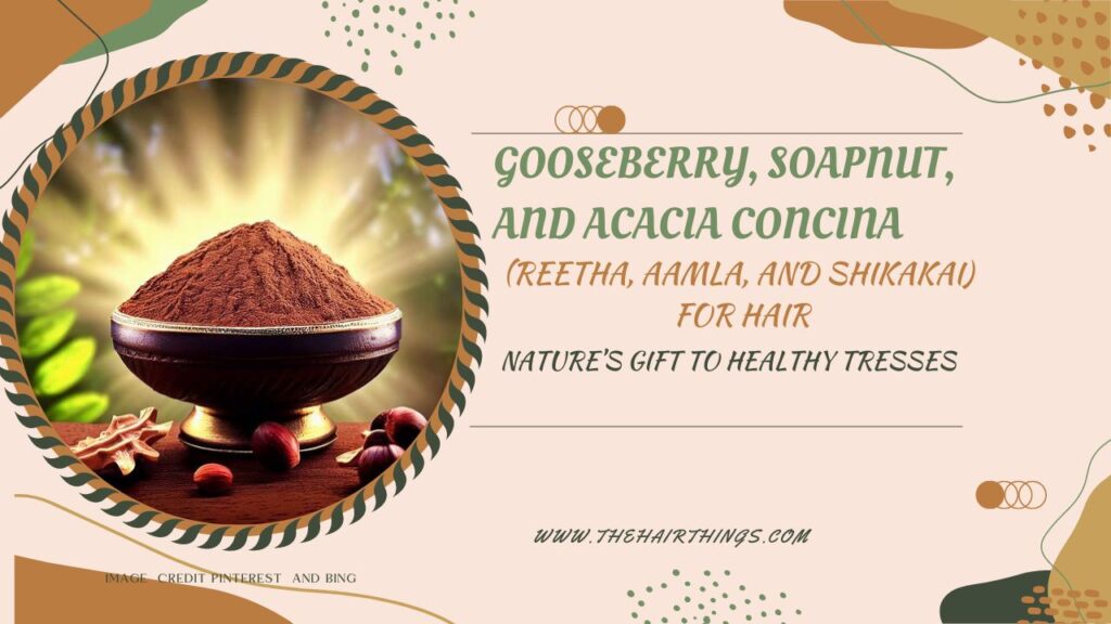 Gooseberry, Soapnut an, Acacia Concina(Reetha, Aamla, Shikakai) for Hair: Nature’s Gift to Healthy Tresses