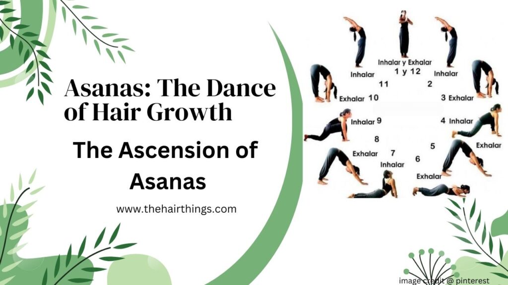 Asanas: The Dance of Hair Growth