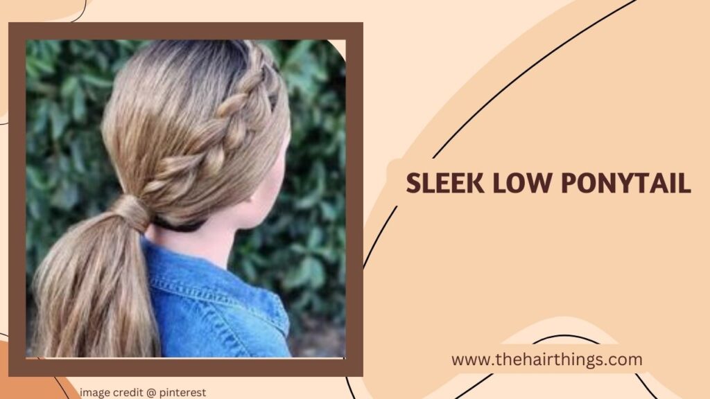 Sleek Low Ponytail