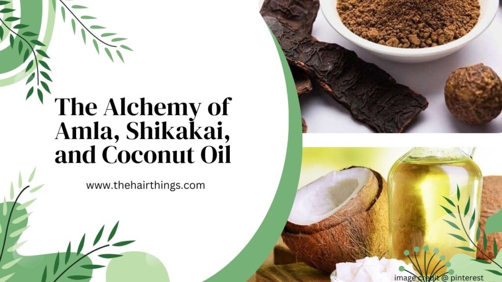  The Alchemy of Amla, Shikakai, and Coconut Oil