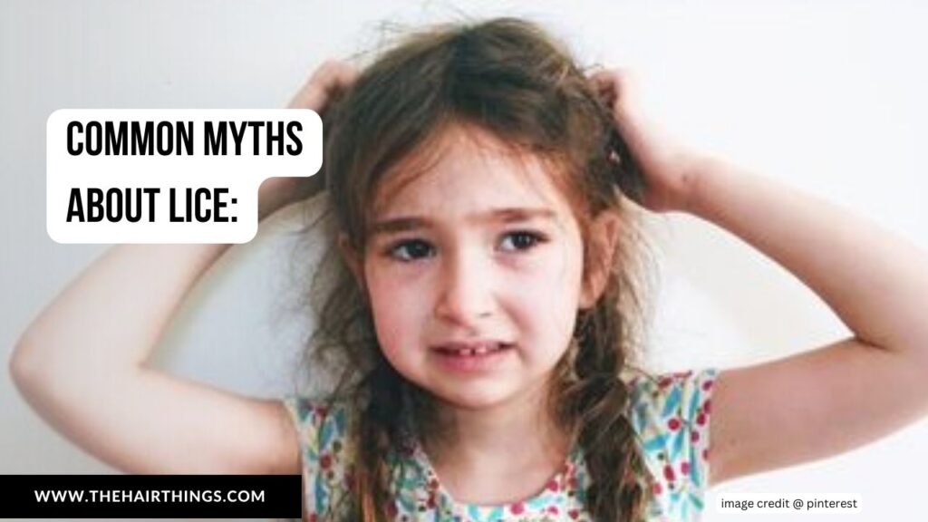 Common Myths about Lice