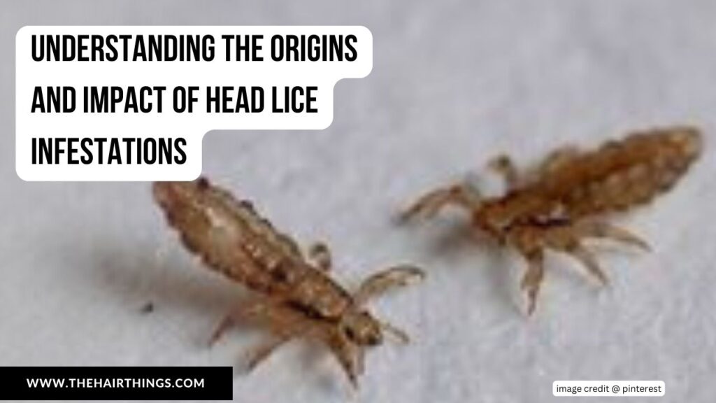 Understanding the Origins and Impact of Head Lice Infestations