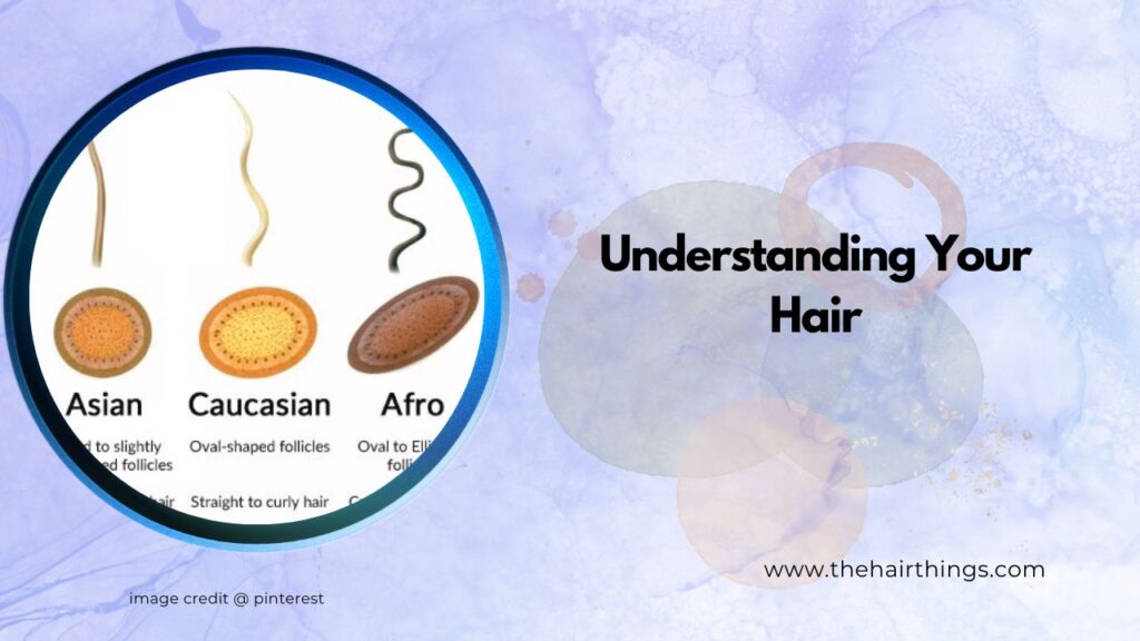 Understanding Your Hair