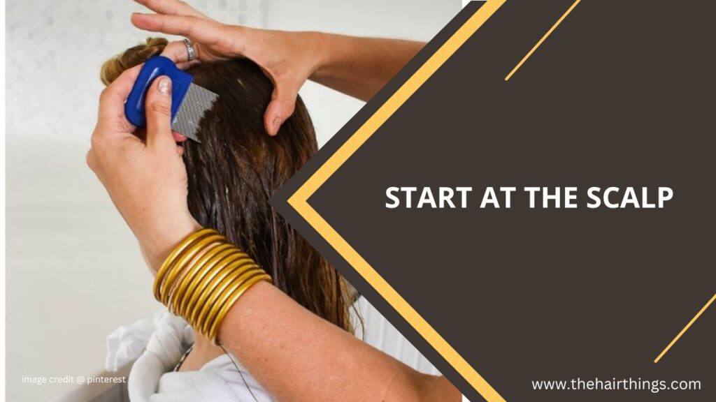 Start at the Scalp