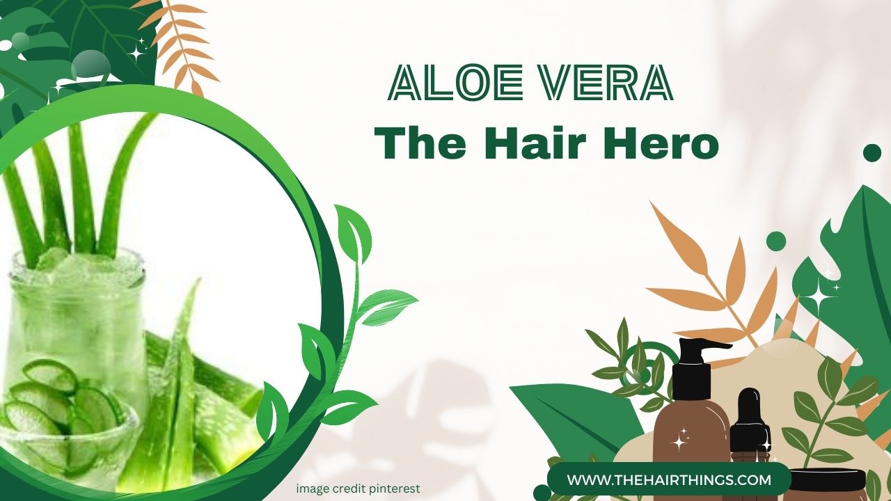 Aloe Vera: The Hair Hero