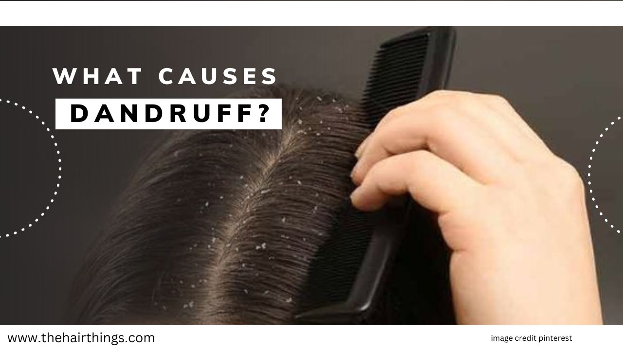 Understanding and Conquering Dandruff - thehairthings