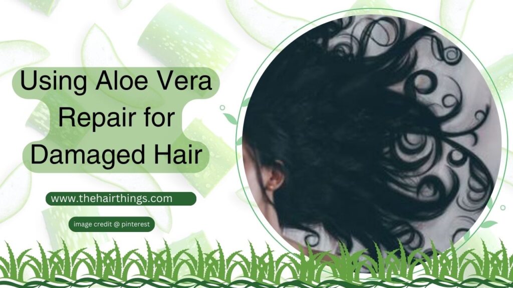 Using Aloe Vera Repair for Damaged Hair