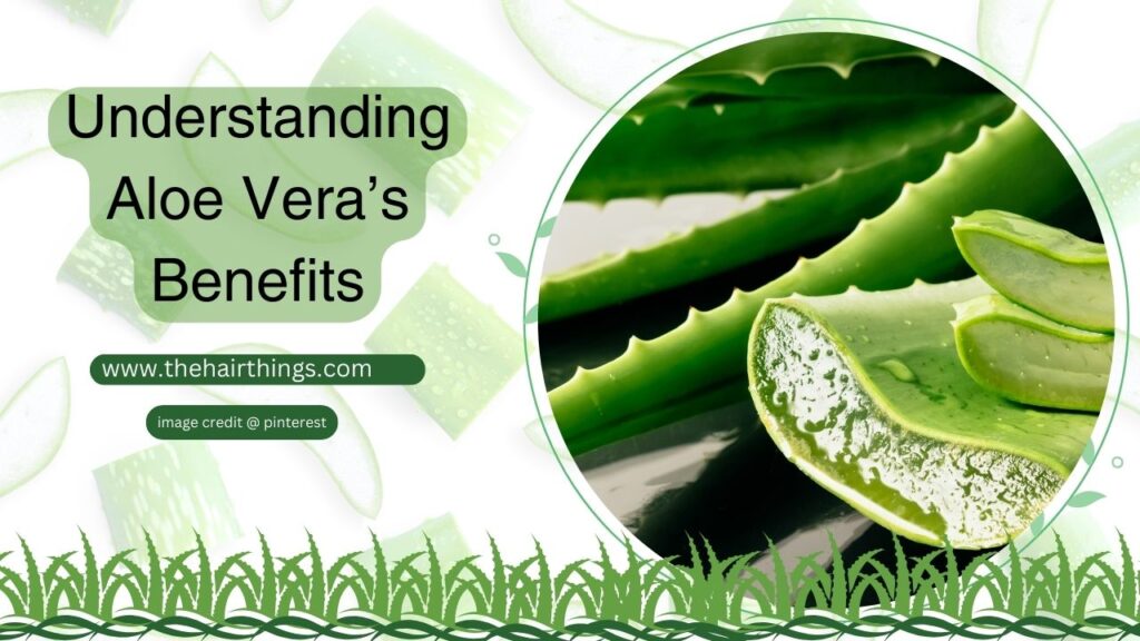 Using Aloe Vera Repair for Damaged Hair